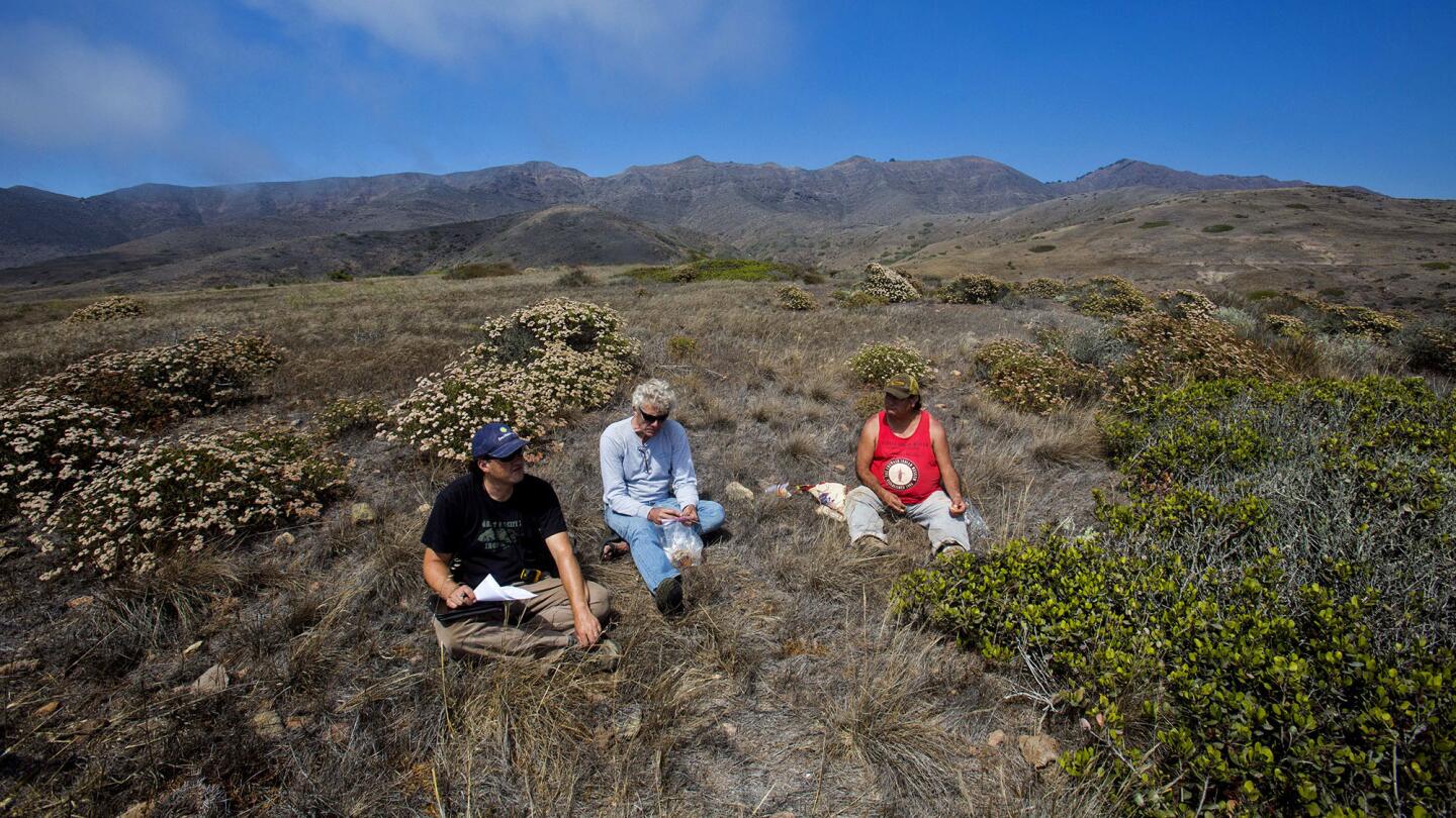 Native American artifacts on Santa Cruz Island threatened by rising sea levels