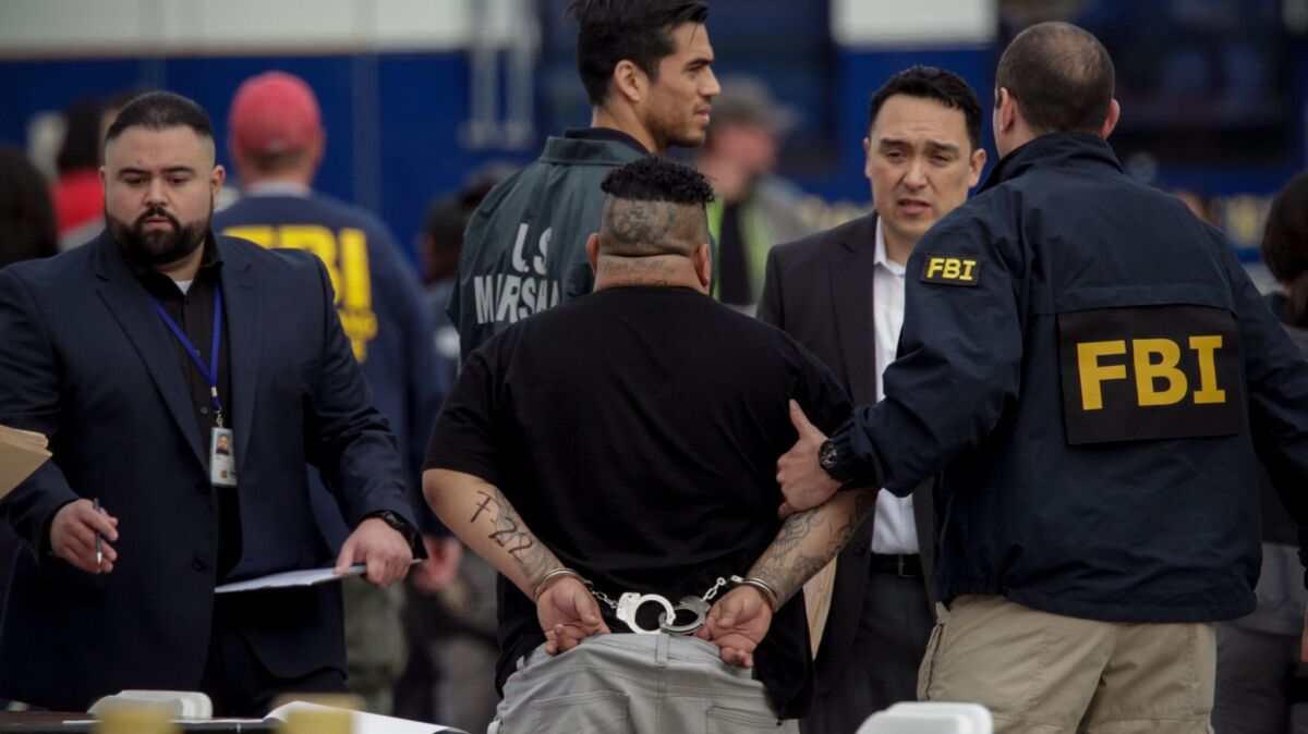 Nevada authorities allege a Los Angeles detective interfered with their hunt for an MS-13 gang member wanted for murder in 2010. An LAPD investigation cleared Det. Frank Flores, but the claims recently resurfaced in two federal drug cases. This photo shows a recent MS-13 arrest.