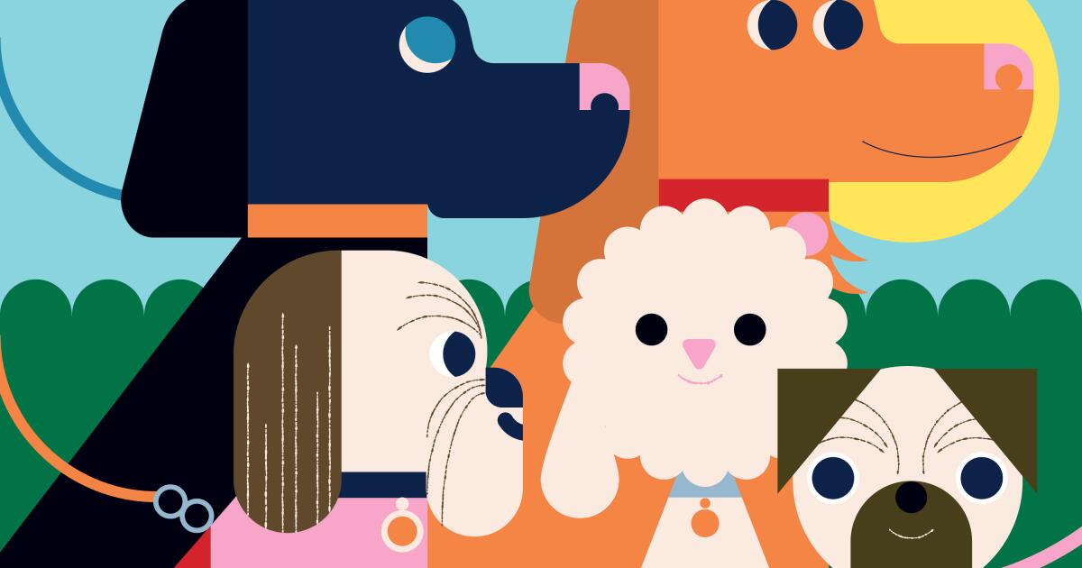 Estes são os 9 melhores parques para cães no sul da Califórnia – Fur Real!