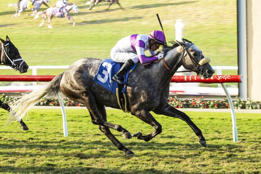 In a photo provided by Benoit Photo, Eddie's New Dream and jockey Mario Gutierrez win the $150,000 Solana Beach Stakes horse race Friday, Aug. 25, 2023, at Del Mar Thoroughbred Club in Del Mar, Calif. (Benoit Photo via AP)