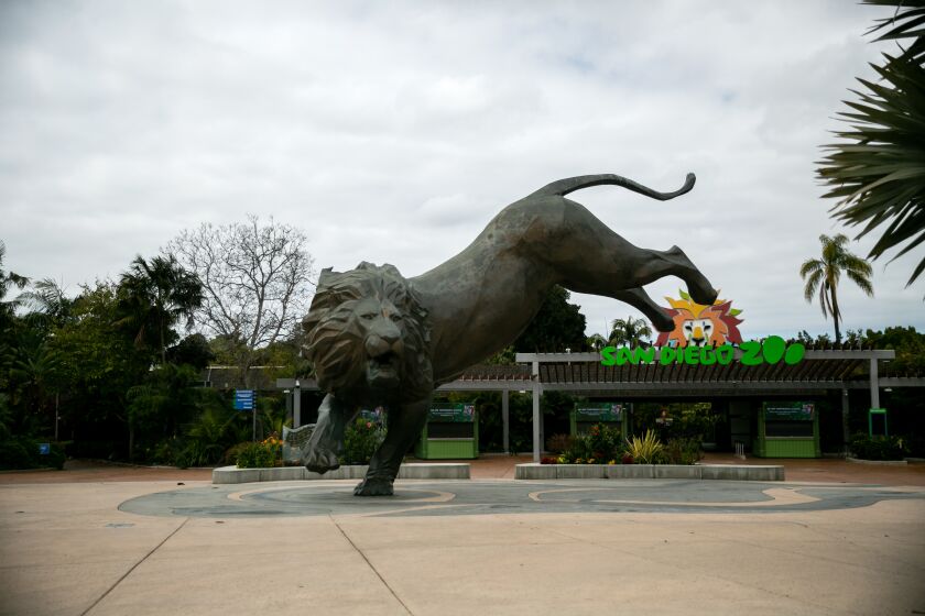 The parking lot and entrance to the San Diego Zoo are empty as the it's shuttered during the novel coronavirus outbreak on April 17, 2020 in San Diego, California.
