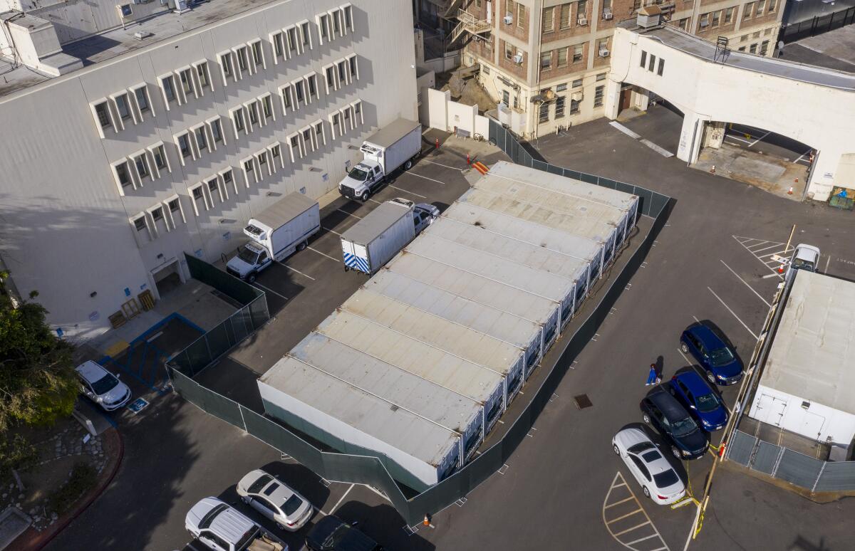 A dozen refrigerated trucks in a parking lot behind a building