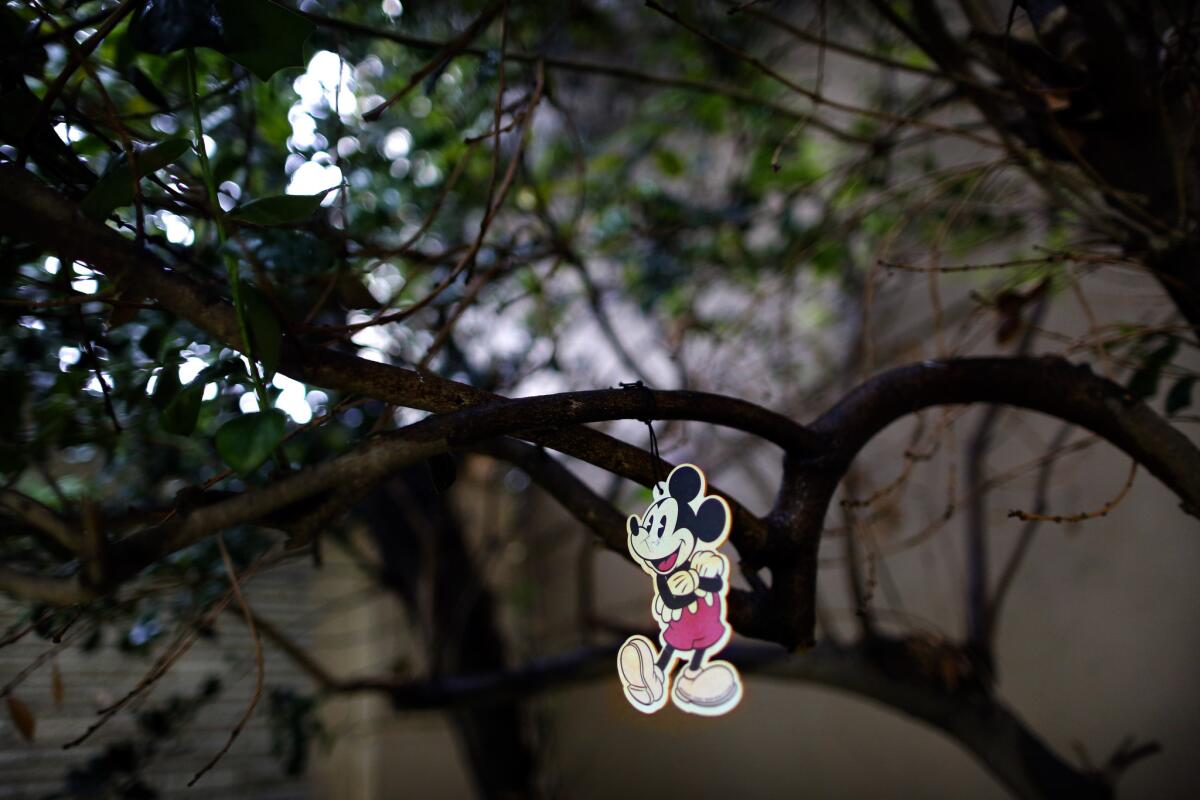 A Mickey Mouse trinket adorns a tree near Walt Disney's resting spot at Forest Lawn in Glendale. Read more.