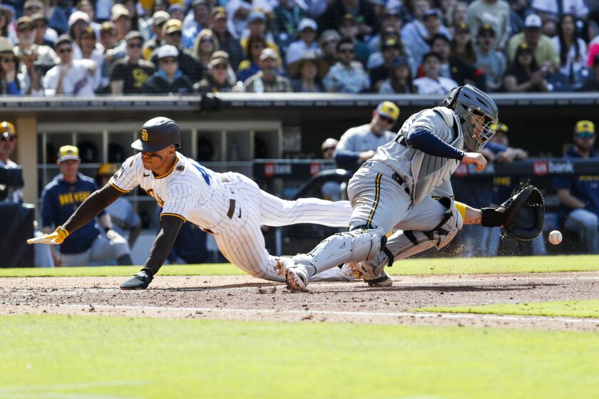 San Diego, CA - April 15: Padres left fielder Juan Soto (22) scores a run against Brewers catcher Victor Caratini (7) during the first inning of their game at Petco Park on Saturday, April 15, 2023 in San Diego, CA. (Meg McLaughlin / The San Diego Union-Tribune)