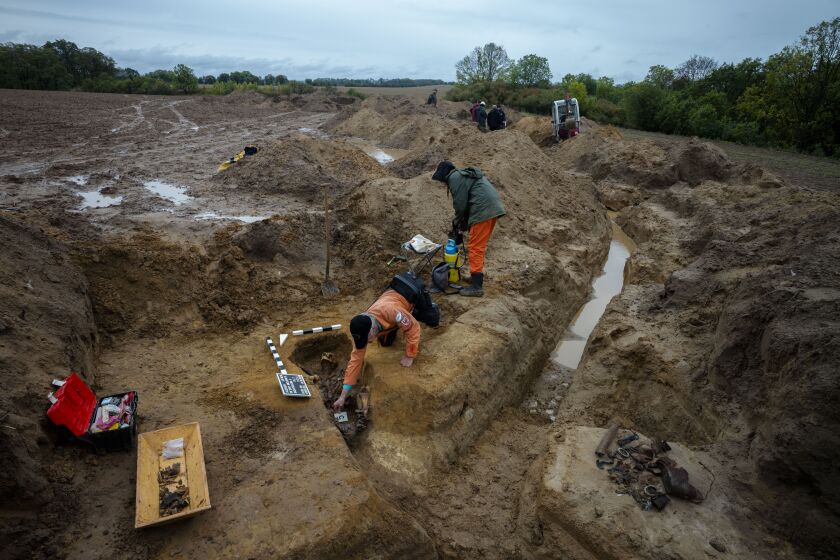 In this Wednesday, Oct. 2, 2019 photo, Laura Tradii, center, Social Anthropologist at the University of Cambridge and Werner Schulz, left, an excavation technician exhume the remains of a Soviet soldier during a search for fallen soldiers, near the village of Klessin in Germany. In eastern Germany, today's verdant pastures were killing fields 75 years ago as the Soviet Red Army pushed toward the Nazi capital in the final weeks of World War Two. Volunteers from across Europe comb across the area looking for the remains of the thousands of missing soldiers, working from old maps and aerial photos to identify the trenches, foxholes and strongpoints where they could be buried. They strive to give the dead a proper burial, and wherever possible identify the remains to provide closure for families. (AP Photo/Markus Schreiber)