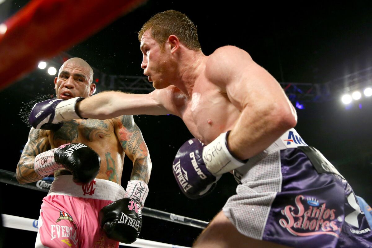 'Canelo' Alvarez throws a right at Miguel Cotto during their Nov. 21 middleweight title bout in Las Vegas.