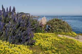 A waterside path near the coastal scenic route known as 17-Mile Drive.