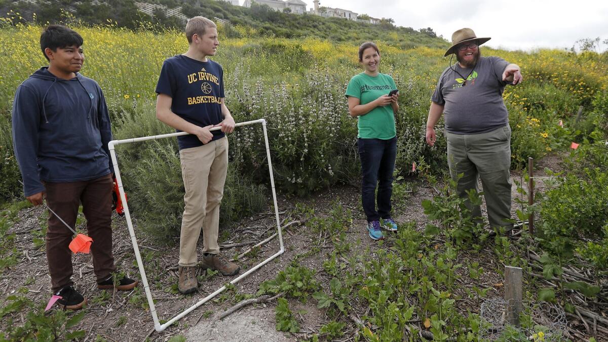 Matt Yurko, right, Project Grow program manager, speaks to Costa Mesa High School students Diego Reyes and George Williamson, from left, and teacher Cristen Rasmussen as they conduct biodiversity research at the Back Bay Science Center in Newport Beach.