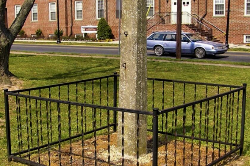 In this undated photo from the Delaware Division of Historical & Cultural Affairs a whipping post is displayed on the grounds of the Old Sussex County Courthouse near the Circle in Georgetown, Del. Delaware officials are set to remove the post that was historically used to hold people as they were publicly lashed for committing crimes. The Delaware Division of Historical and Cultural Affairs says it will bring down the concrete post on Wednesday, July 1, 2020 and place it in a Dover storage unit with other historical artifacts, according to a statement issued by the agency Tuesday, June 30. (Delaware Division of Historical & Cultural Affairs via AP)