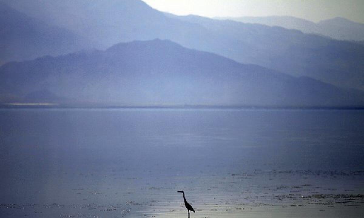 Geothermal power has been produced in the Salton Sea field since 1982.
