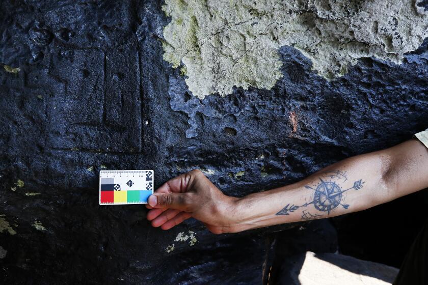 An archaeologist measures rock paintings at the Ponta das Lajes archaeological site, in the rural area of Manaus, Brazil, Saturday, Oct. 28, 2023. The archaeological site was exposed following a drought in the Negro River, unveiling rock paintings that, according to archaeologists, date back between 1,000 and 2,000 years. (AP Photo/Edmar Barros)