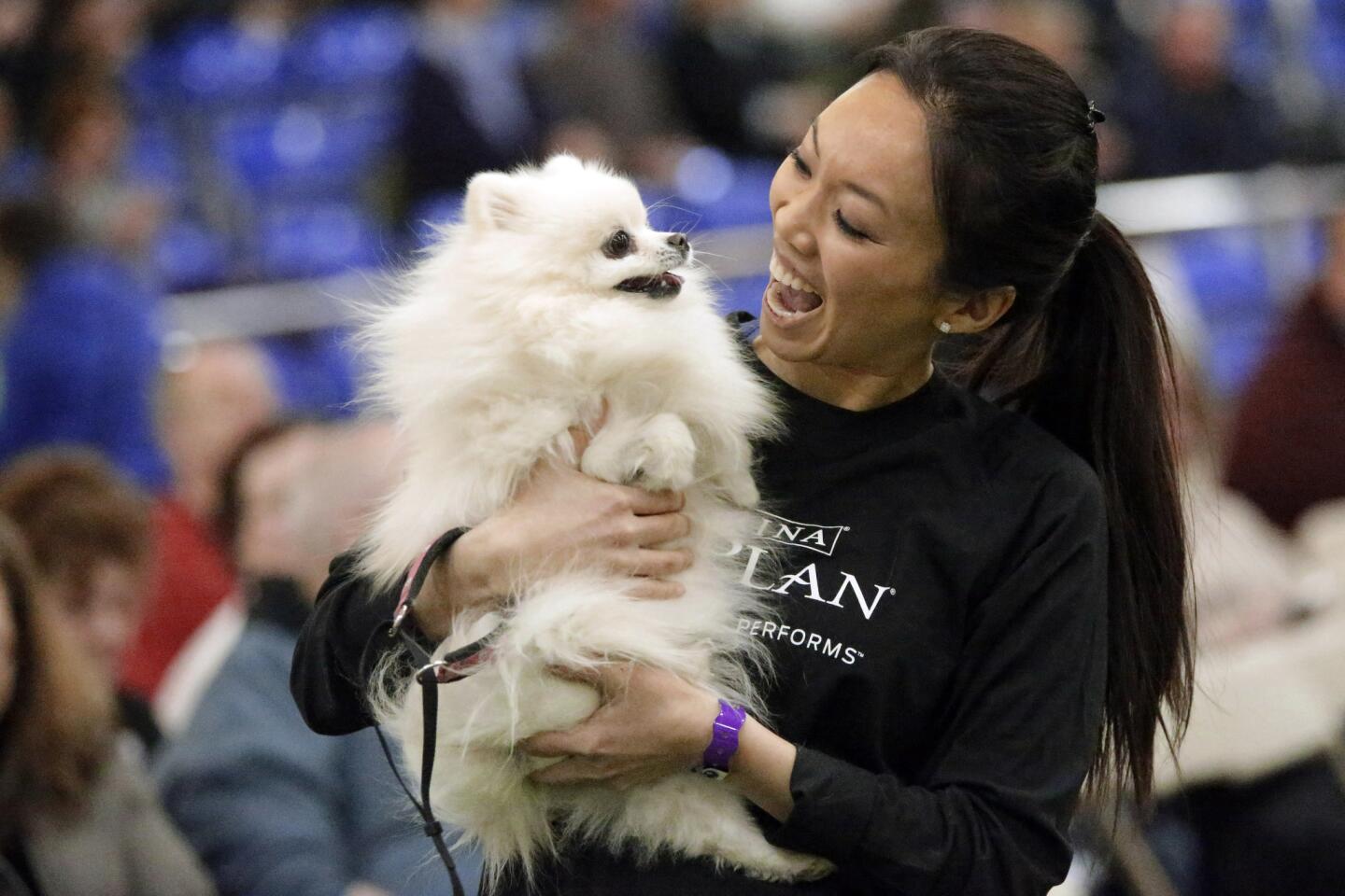 Wendy Lu of San Jose hugs her Pomeranian Daisy while competing in the Westminster Kennel Club Masters Agility Championship in New York. Daisy made it to the 50-dog final round.