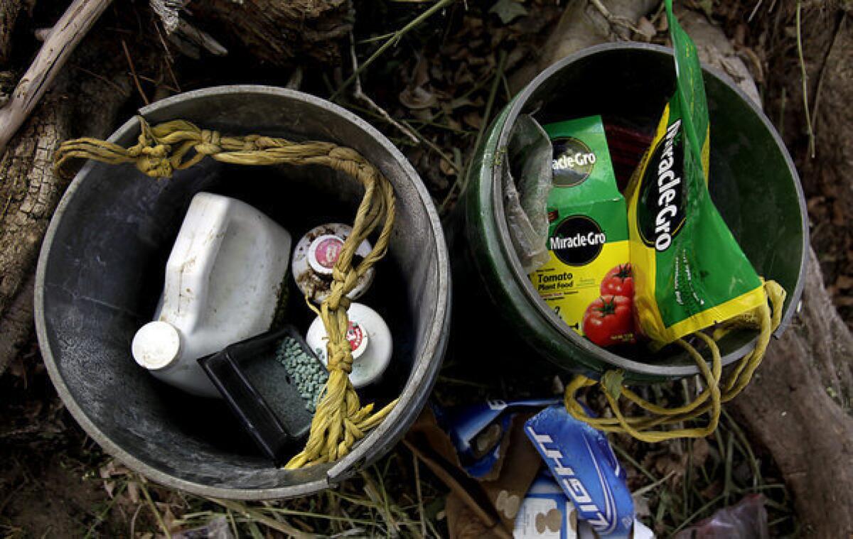 Buckets containing fertilizer, pesticides and rat poison sit in an encampment used by marijuana growers in an illegal operation in the Sierra Nevada foothills. Poisons used by growers have been linked to the deaths of fishers, a rare forest animal in the southern Sierra.