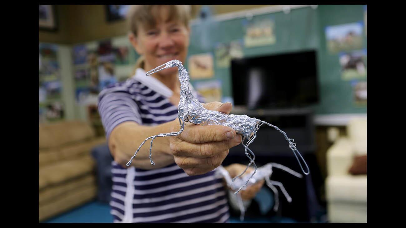 Sculptor and teacher Sue Sifton shows a wire form that students will make into a model-horse sculpture by adding clay, at workshop held at the Chilao School, in the Angeles National Forest on Friday, June 15, 2018.