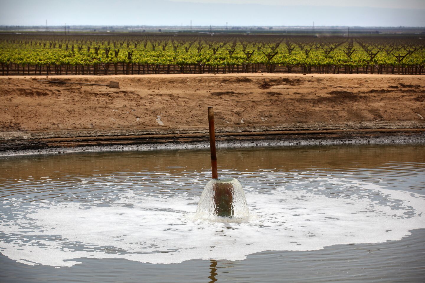 Water flows into a holding pond at a Kern County vineyard near Bakersfield. Water in the reservoir was tested last summer by Scott Smith, chief scientist at Water Defense.
