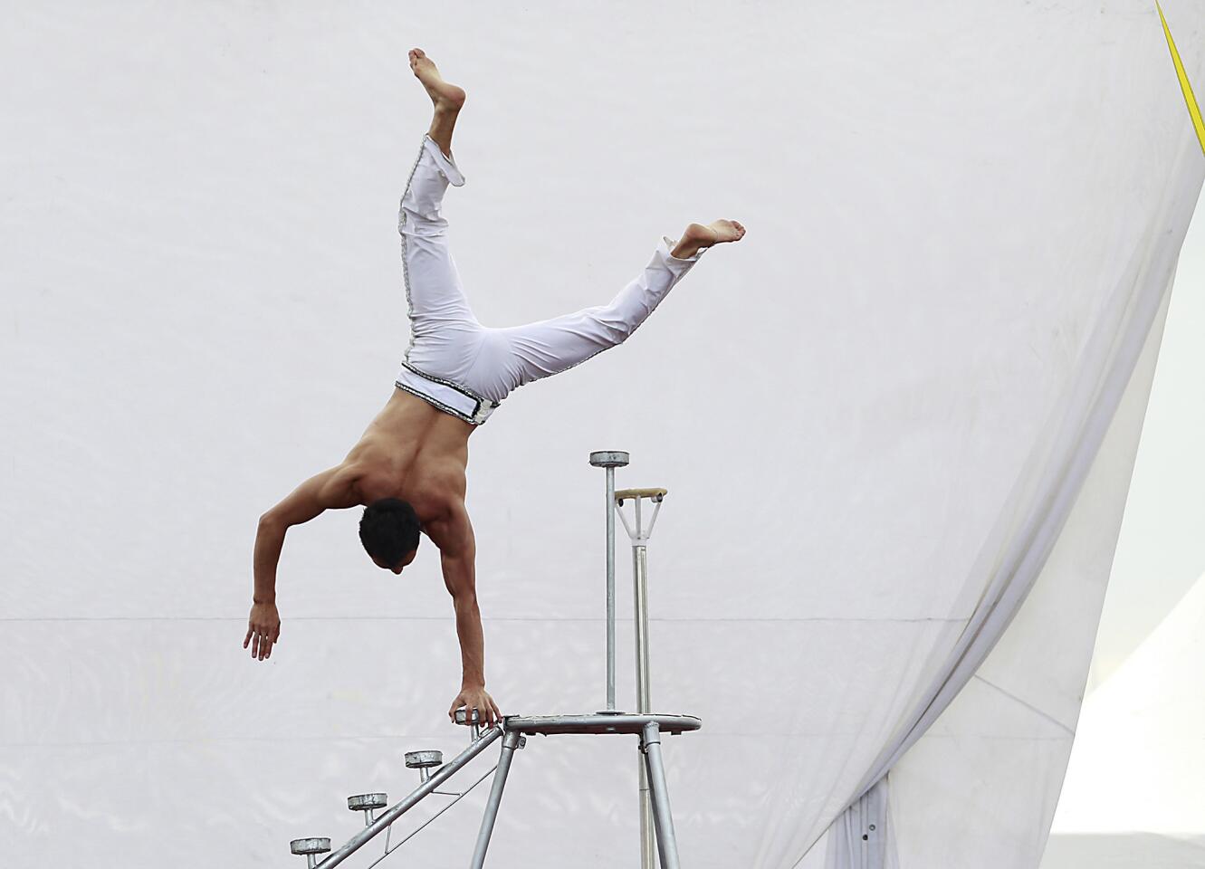 Peking Acrobats