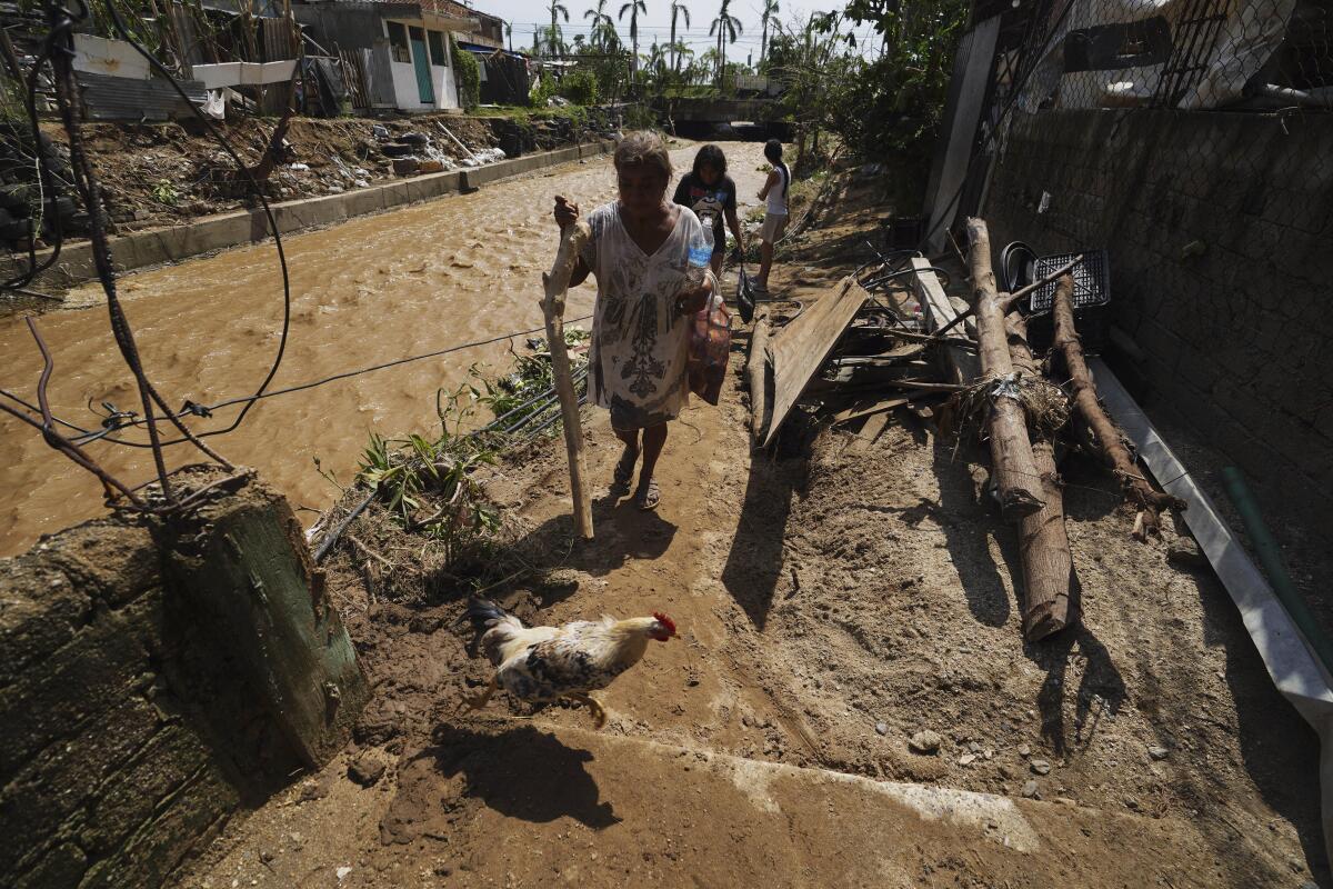 A chicken passes in front of people walking amid mud and debris next to a muddy waterway