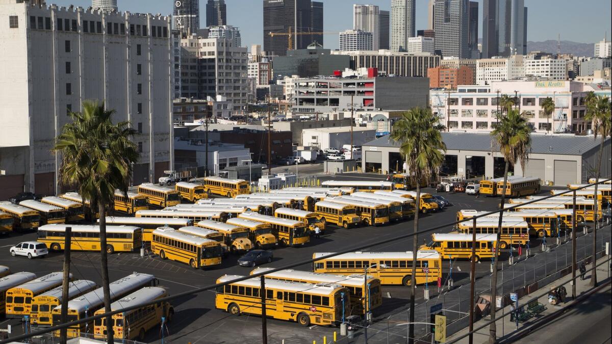 LAUSD school buses.