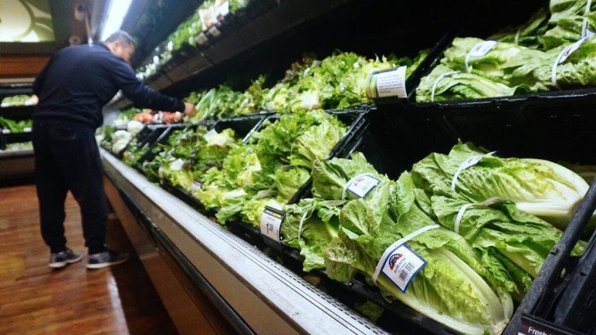 A man shops for vegetables at a supermarket in Los Angeles. Romaine lettuce is in the foreground.