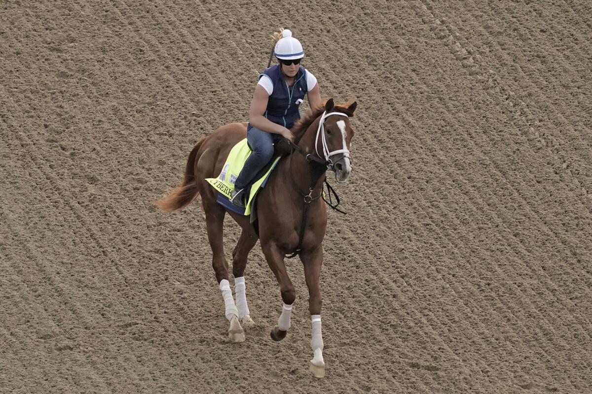 Kentucky Derby entrant Cyberknife works out at Churchill Downs on Thursday.