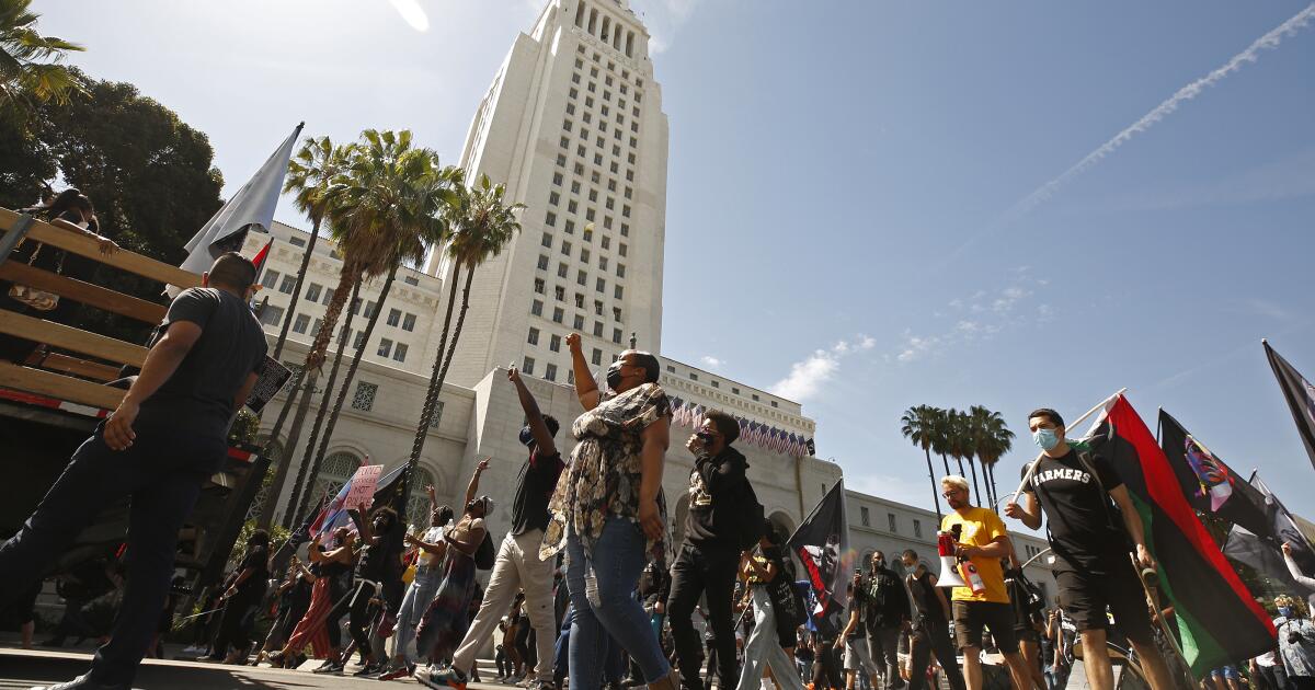 Editorial: Yes, actually, Los Angeles needs more politicians to better ...