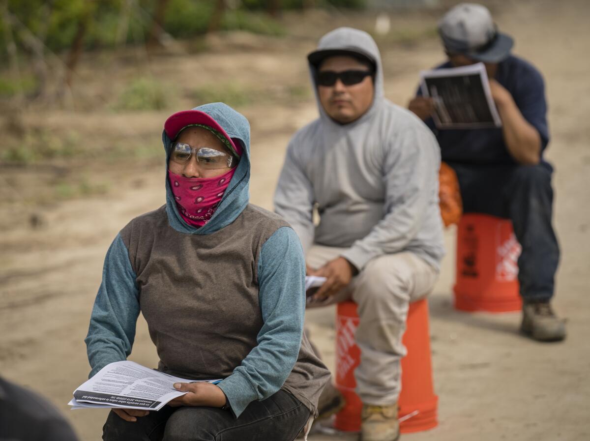 Trabajadores agrícolas reciben instrucciones básicas de salud para protegerse durante la pandemia generada por el coronavirus.