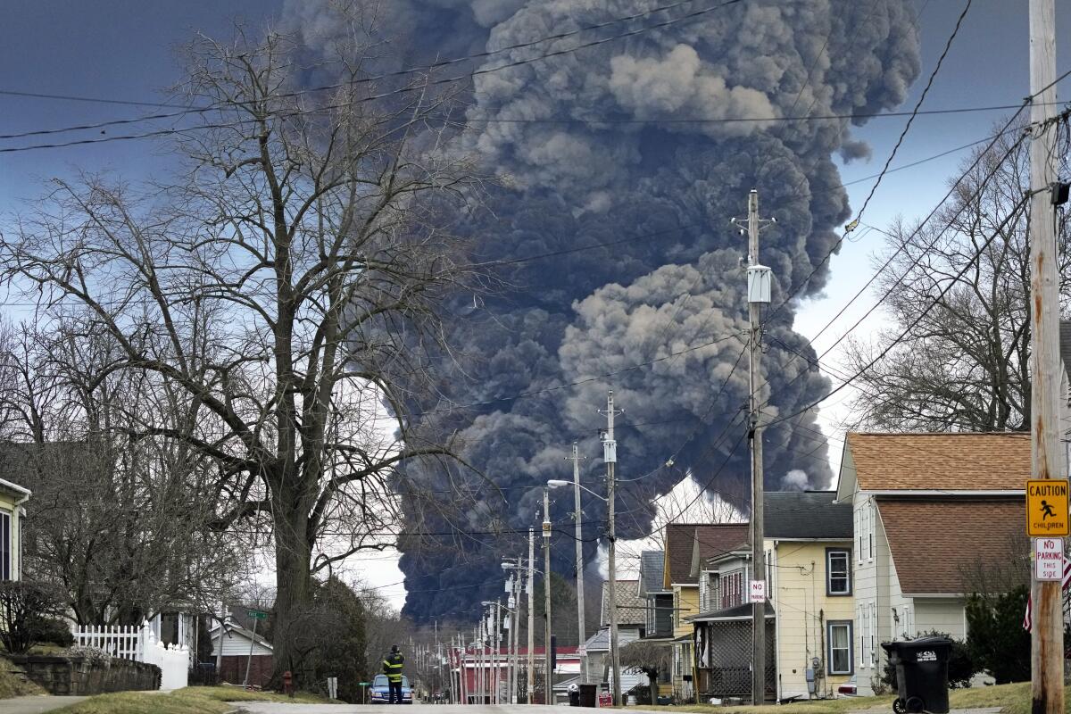 A massive plume of black smoke rises behind a row of houses.