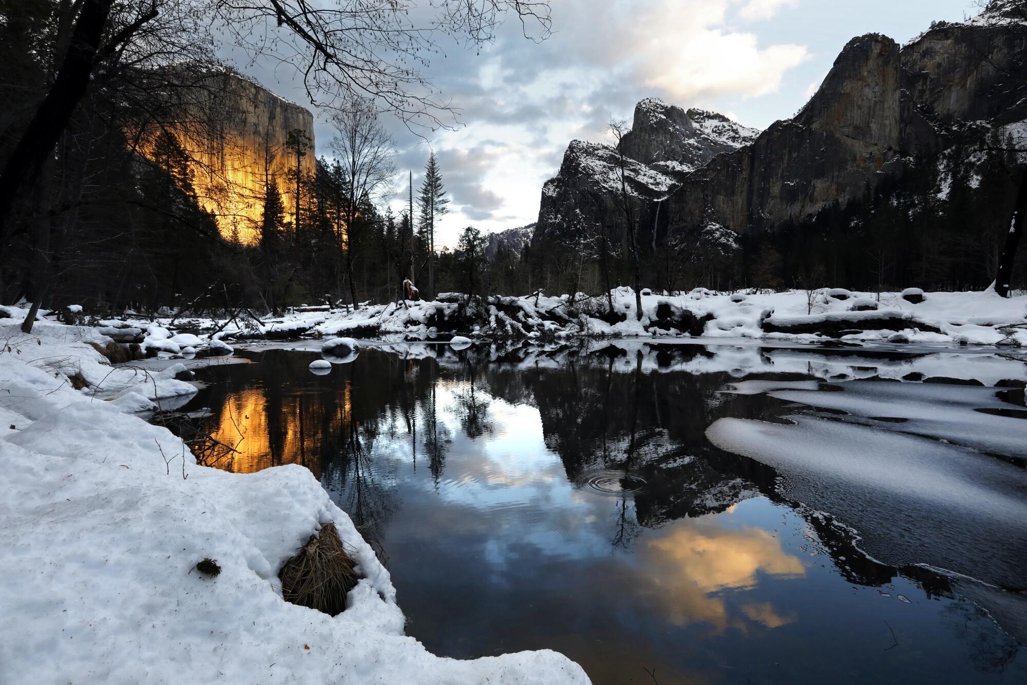 The Merced River flows between snow-covered banks with El Capitan in the background