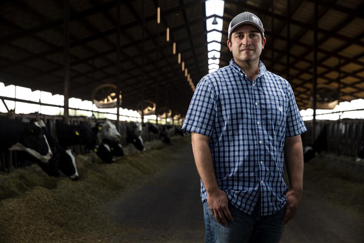California dairy farmer Devin Gioletti in one of the barns that house dairy cows at Robert Gioletti & Sons Dairy.