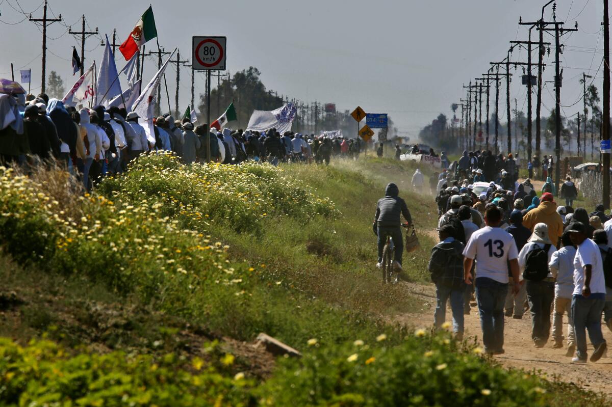 Farmworkers march Thursday along the Baja Peninsular Highway near San Quintin, Mexico, in a peaceful but angry show of force after growers refused to meet their demands to boost wages.