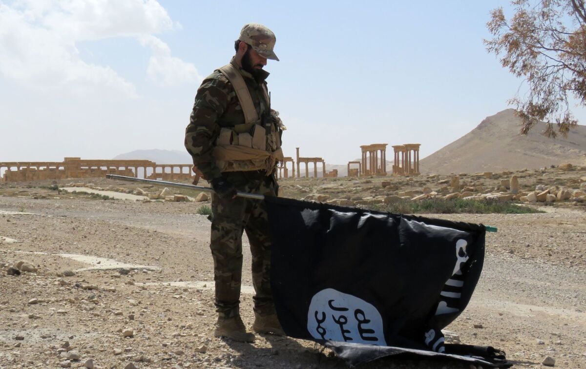A member of the Syrian pro-government forces takes down an Islamic State flag after troops recaptured Palmyra.
