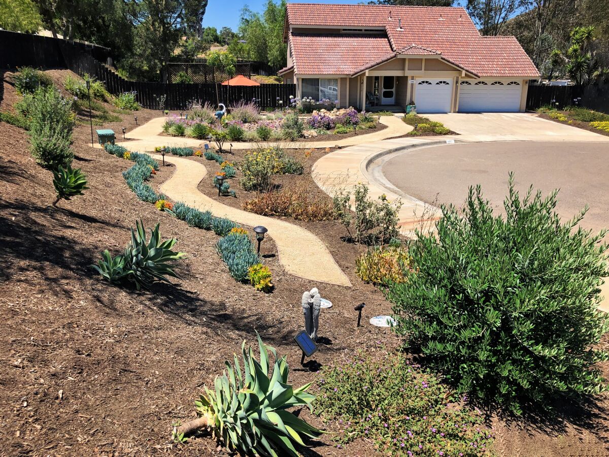 After, a spectrum of waterwise plants and blooms beckons, with a path for homeowner Patricia Wood and her daughter, Kimberly.