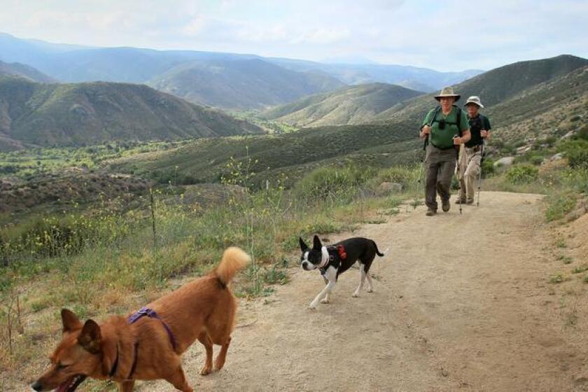 Grab your four legged friend and get outside for a hike. (Charlie Neuman)