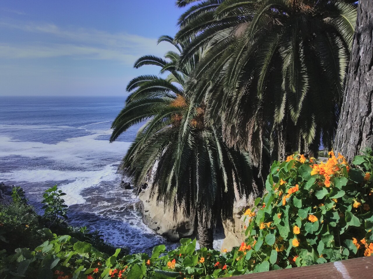 Vincent and Maria Suzara captured this view of La Jolla Cove from the start of the Coast Walk.