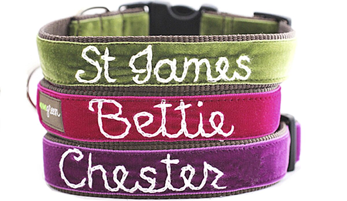 Personalized embroidered velvet dog collar