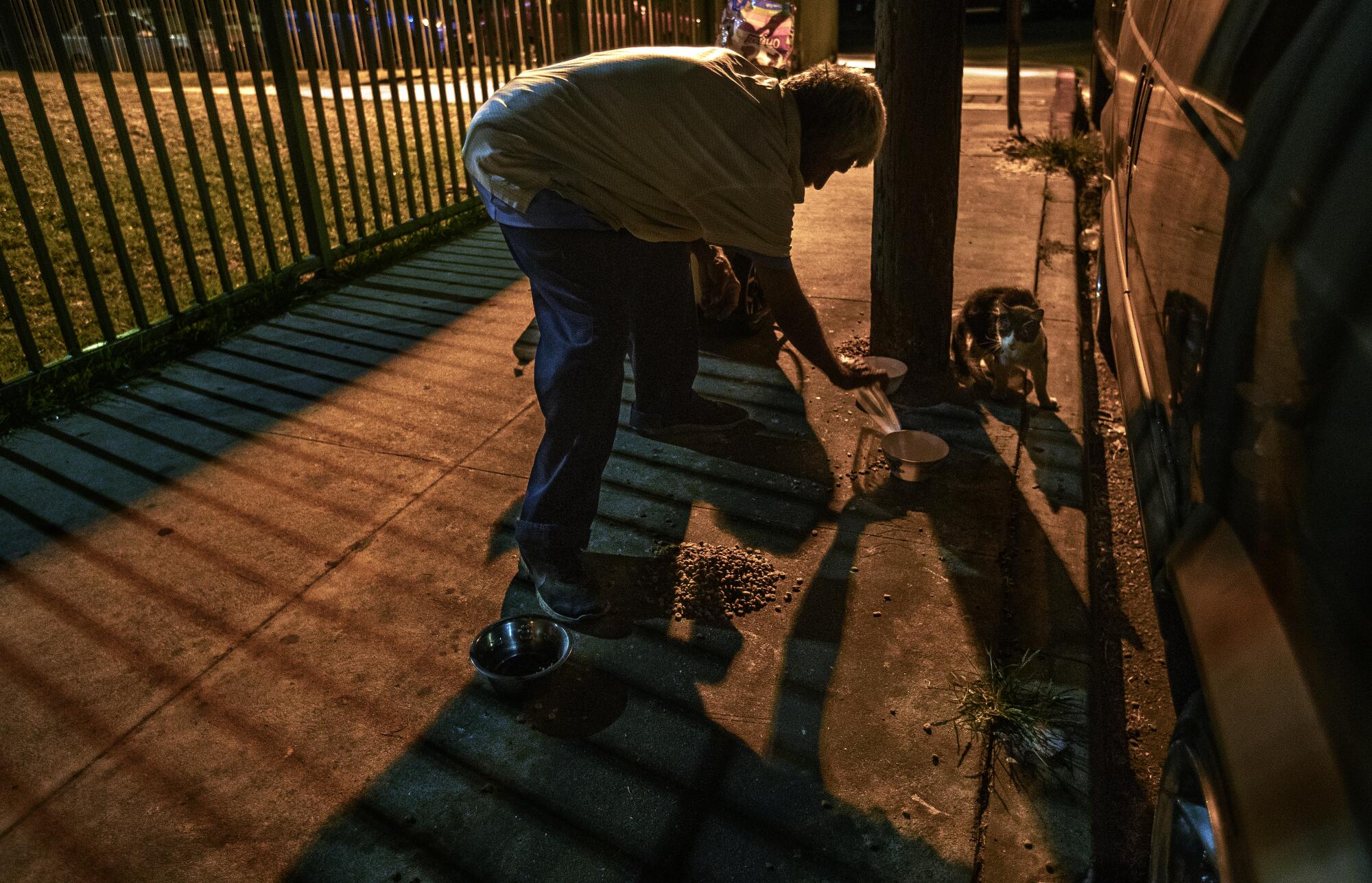 Augustine Hurtado puts out dry cat food for strays on Wall Street in South Los Angeles.