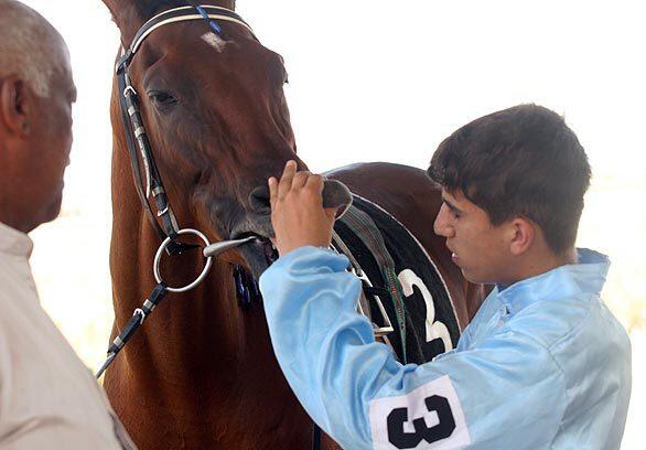 A jockey inspects his horse at the Baghdad Equestrian Club.