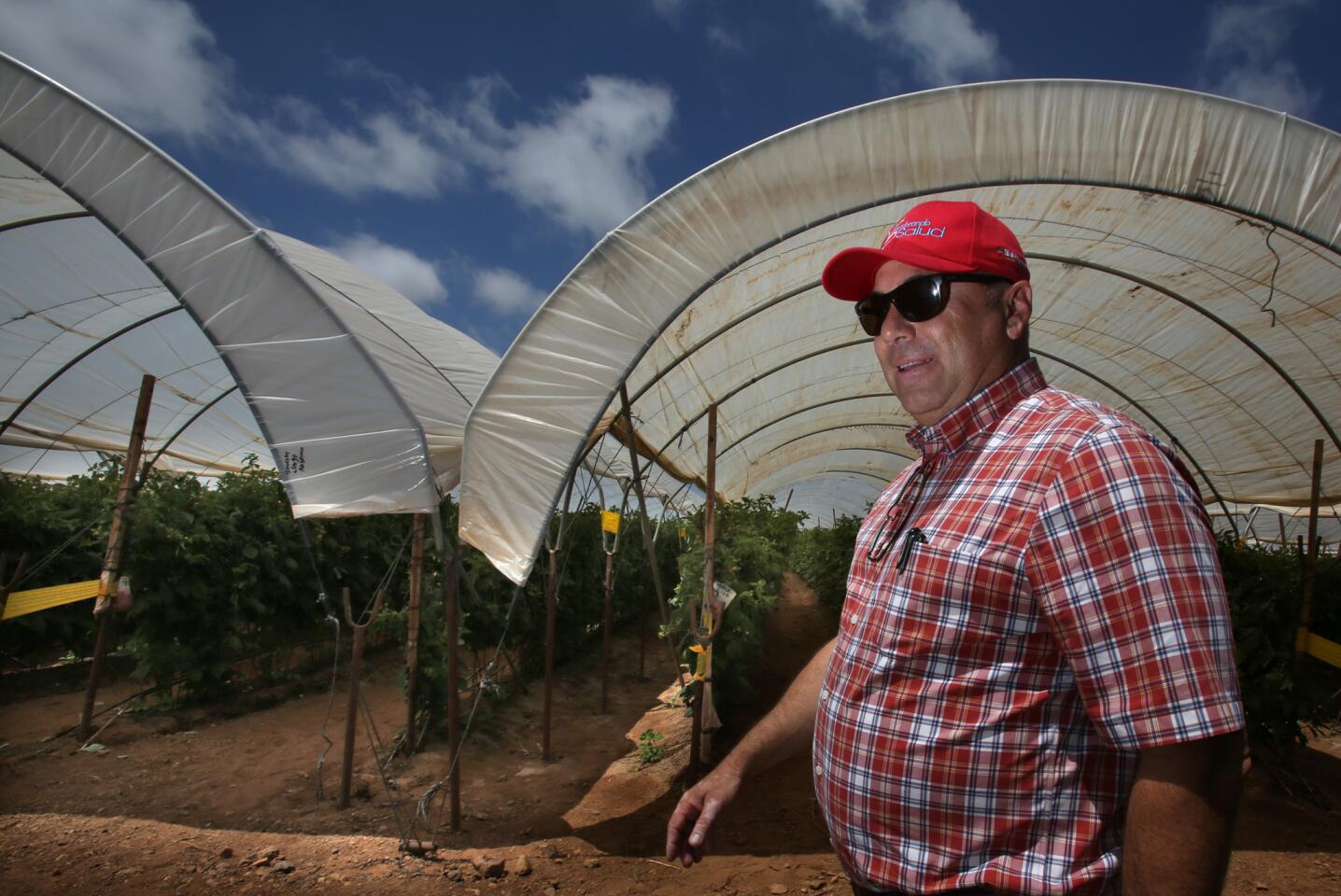 Baja farm workers