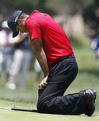 Tiger Woods