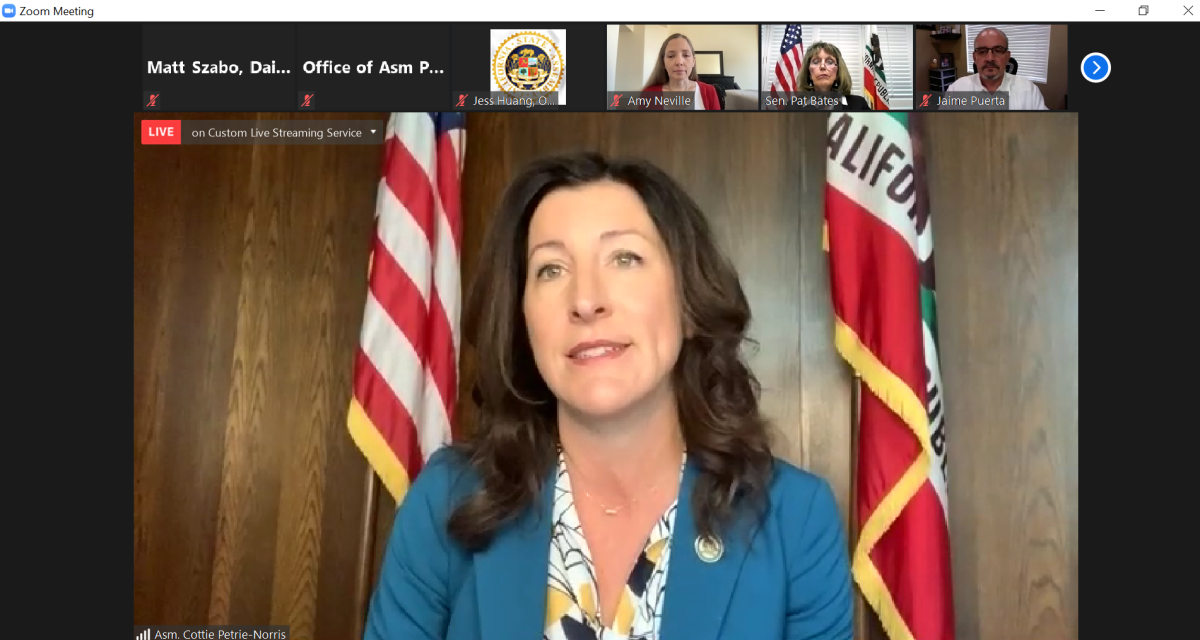 Assemblywoman Cottie Petrie-Norris speaks during a virtual news conference Tuesday.
