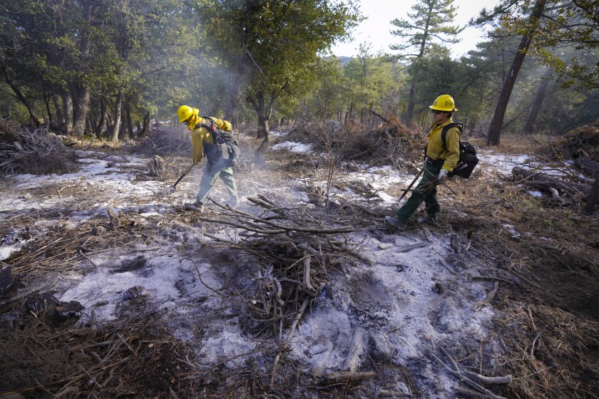 Firefighters inspect an area that had been burned in a prescribed burn