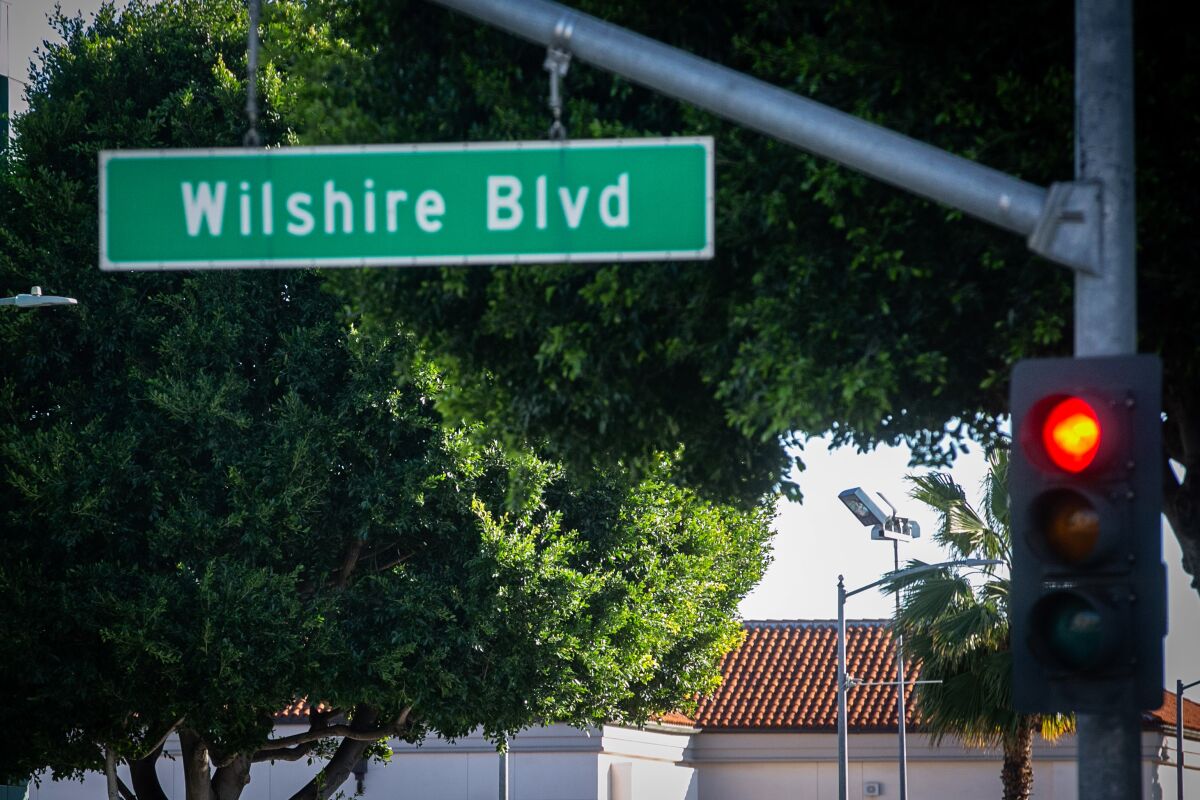 A lush ficus tree stands in the background of a street sign that reads "Wilshire Blvd"