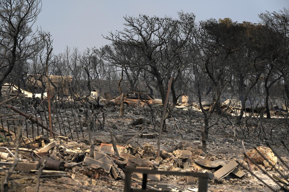 Esta fotografía del miércoles 19 de julio de 2023 muestra árboles quemados 