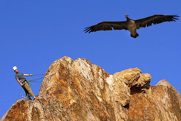 Point Dume State Beach