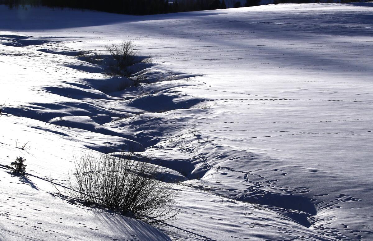 A jagged pattern on the surface of the snow indicates the course of a mountain stream that empties into Lake Granby.