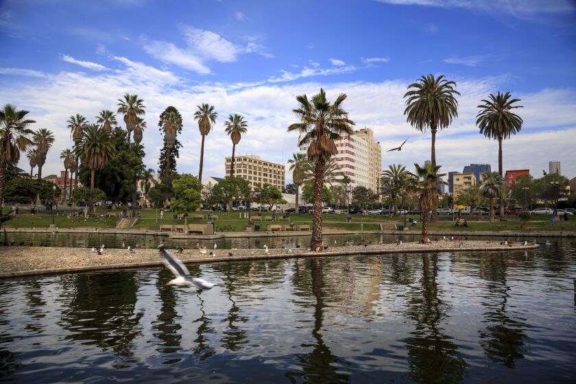 A view of the lake in MacArthur Park with downtown Los Angeles.