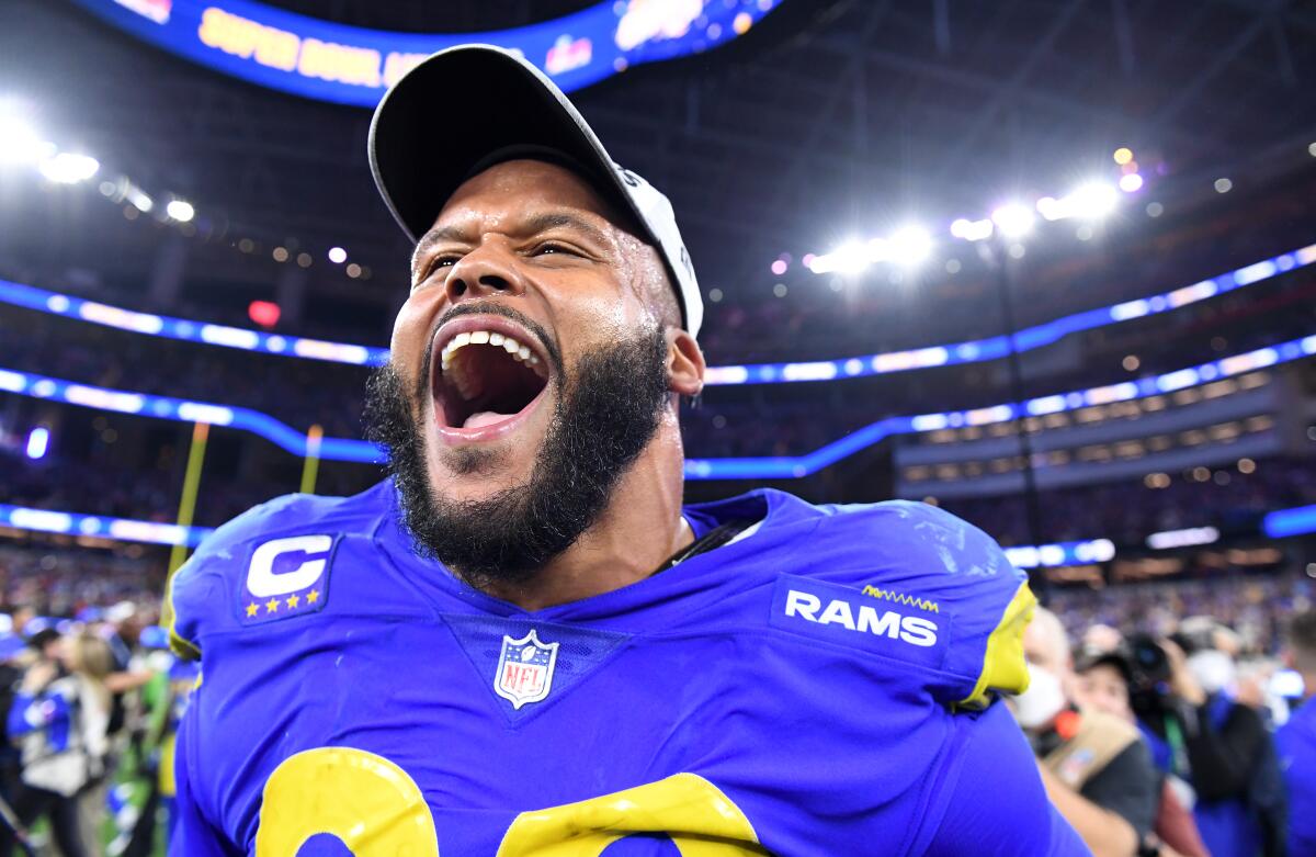 Aaron Donald Super Bowl Champion Jerseys, Aaron Donald Shirts