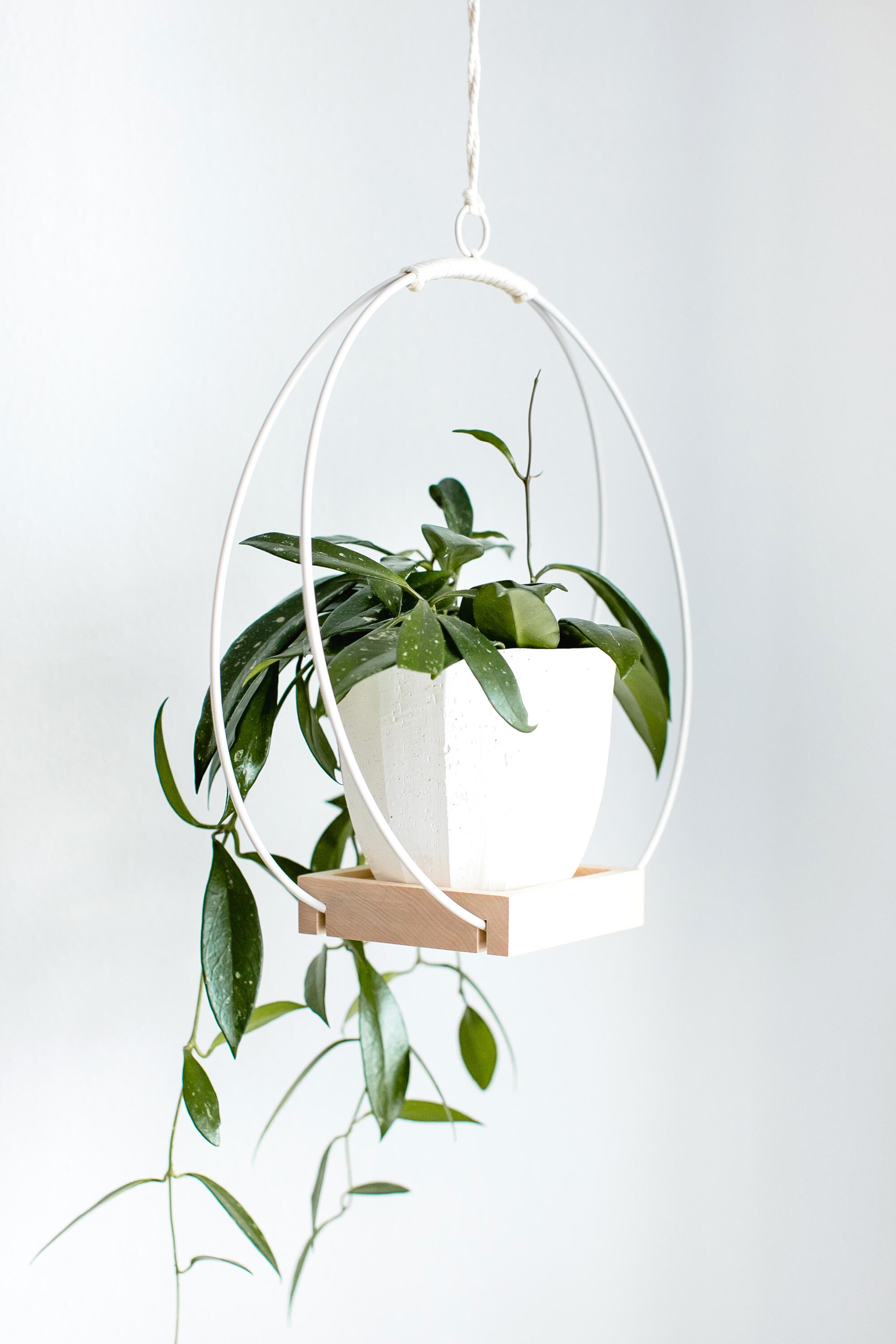 Three dimensional plant hanger by Braid & Wood.