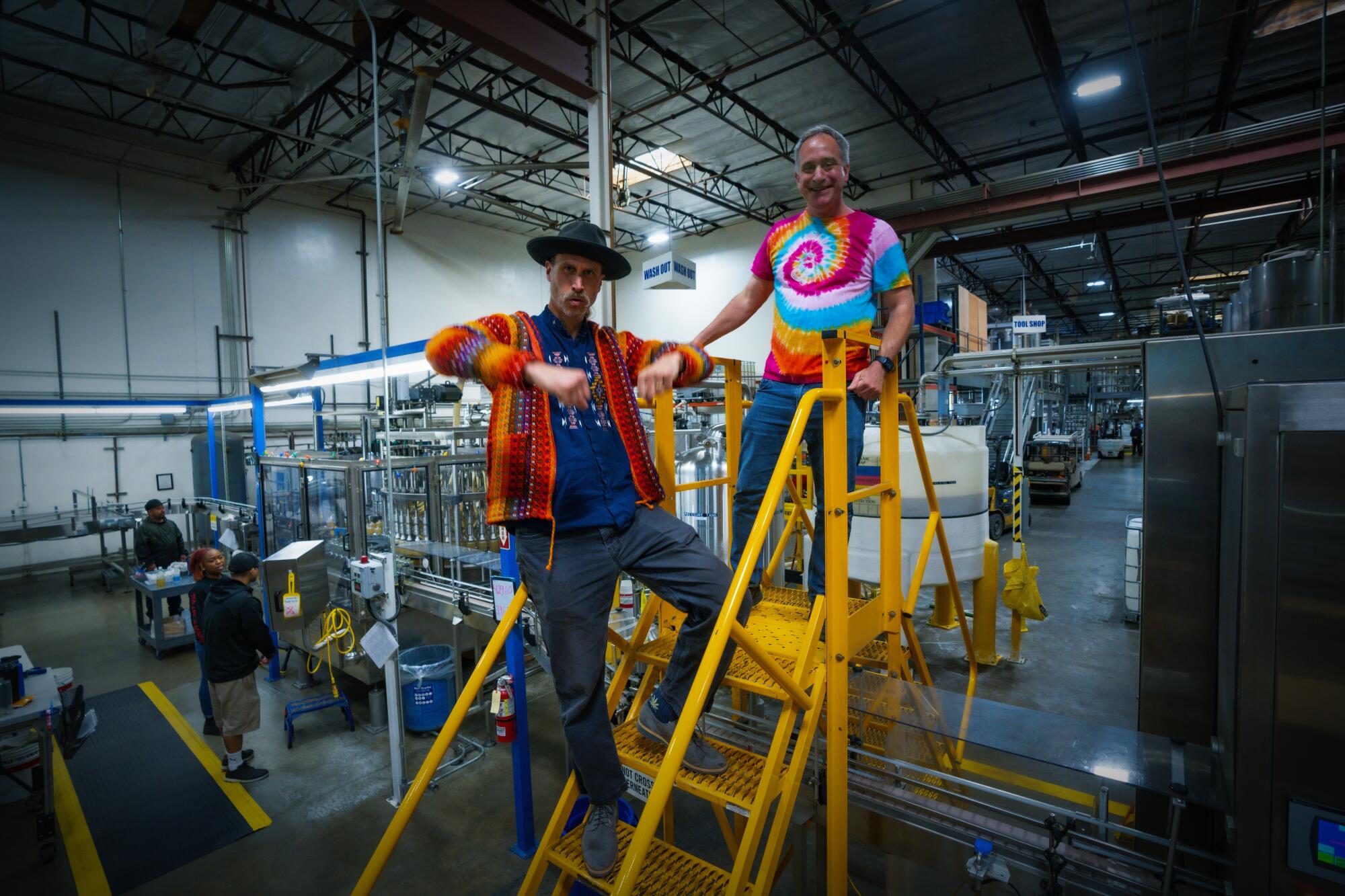 Two men on a ladder at a factory.