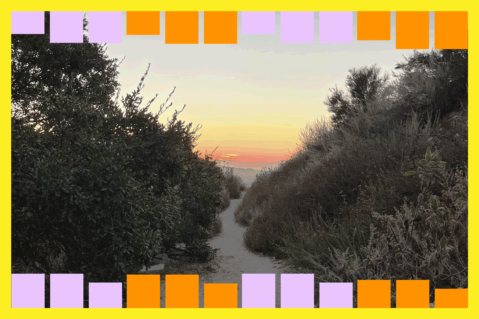 A view of the sunset along a dirt trail
